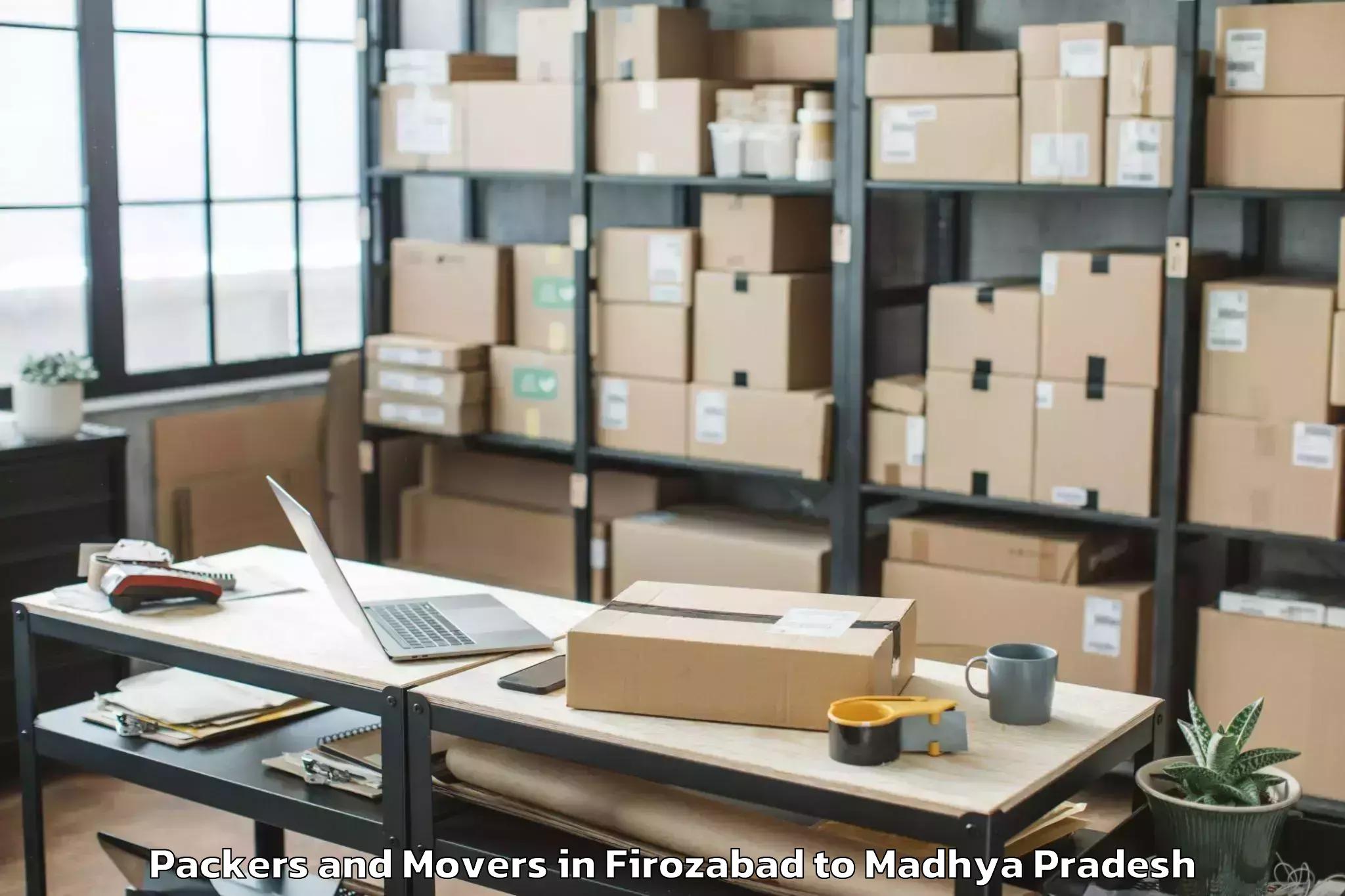 Quality Firozabad to Dhamnod Packers And Movers